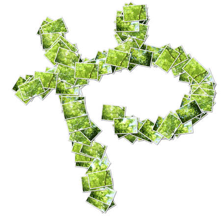 Japanese Characters hiragana, made from green photo.の写真素材