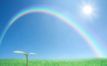  Green sprout against blue sky and rainbowの写真素材