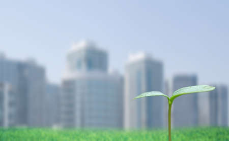  Green sprout and cityscapeの写真素材