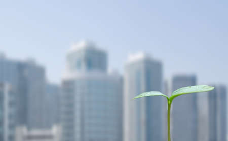  Green sprout and cityscapeの写真素材