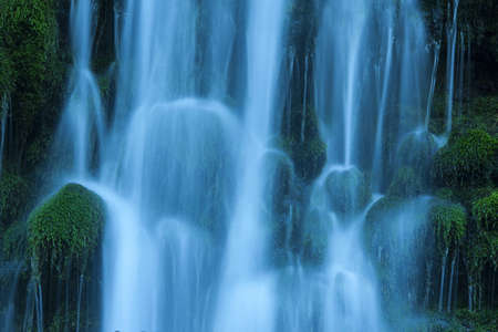 Stream in green forestの写真素材