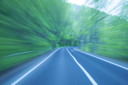 Road in a green forestの写真素材
