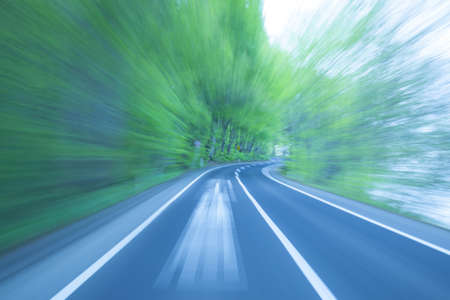 Road in a green forestの写真素材