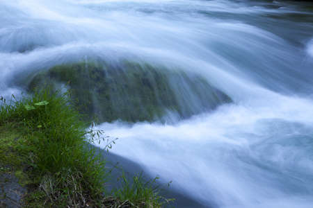 Stream in green forestの写真素材