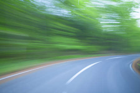Road in a green forestの写真素材