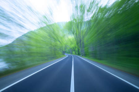 Road in a green forestの写真素材