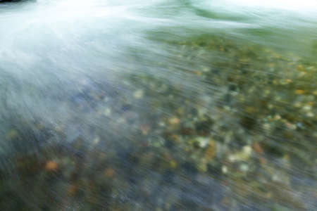 Stream in green forestの写真素材