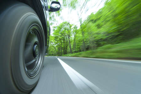 Drive in a green forestの写真素材