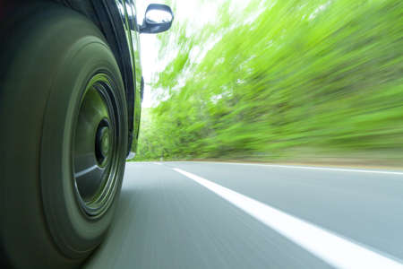 Drive in a green forestの写真素材