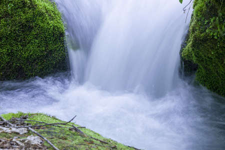 Stream in green forestの写真素材
