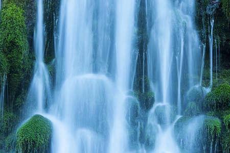 Stream in green forestの写真素材
