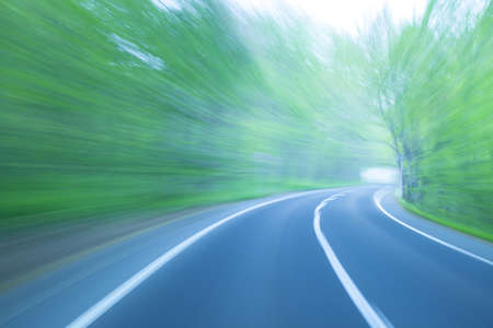 Road in a green forestの写真素材
