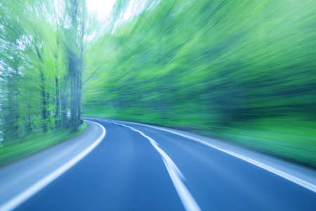 Road in a green forestの写真素材