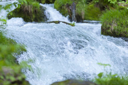 Stream in green forestの写真素材