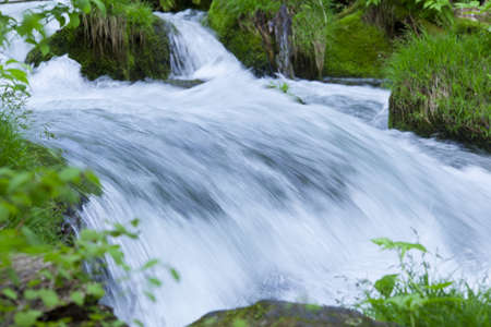 Stream in green forestの写真素材