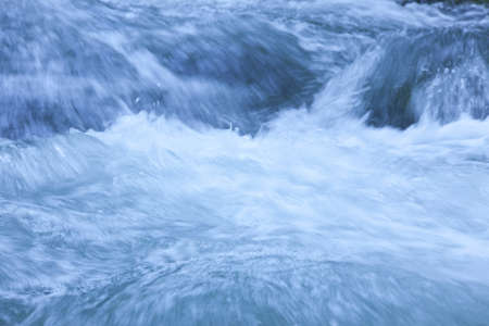 Stream in green forestの写真素材