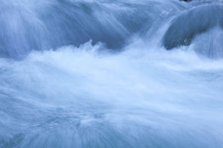 Stream in green forestの写真素材