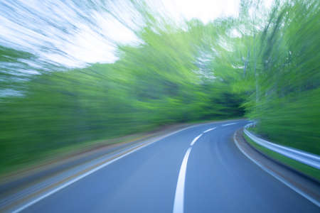 Road in a green forestの写真素材