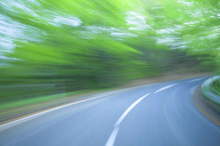 Road in a green forestの写真素材
