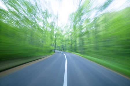 Road in a green forestの写真素材
