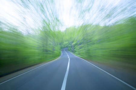 Road in a green forestの写真素材