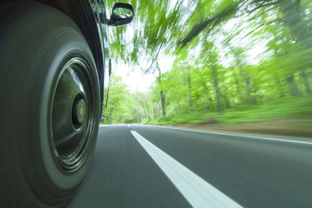 Drive in a green forestの写真素材