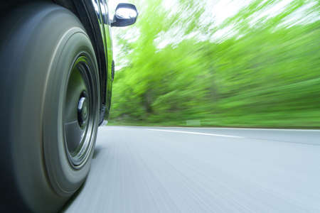 Drive in a green forestの写真素材