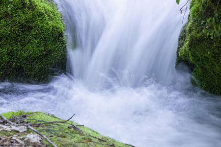 Stream in green forestの写真素材
