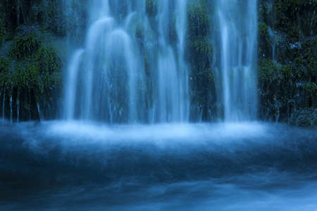 Stream in green forestの写真素材