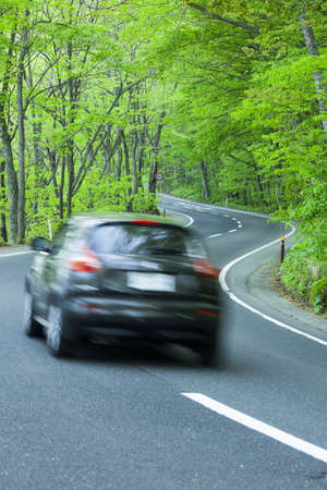 Road in a green forestの写真素材
