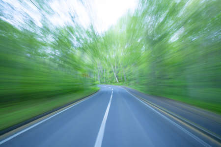 Road in a green forestの写真素材