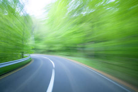 Road in a green forestの写真素材
