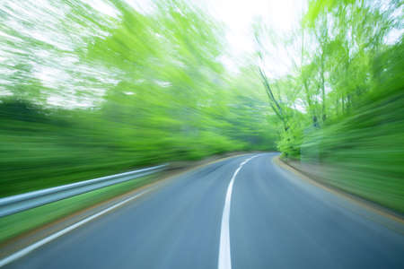Road in a green forestの写真素材