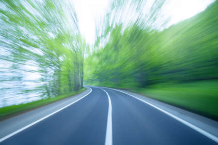 Road in a green forestの写真素材