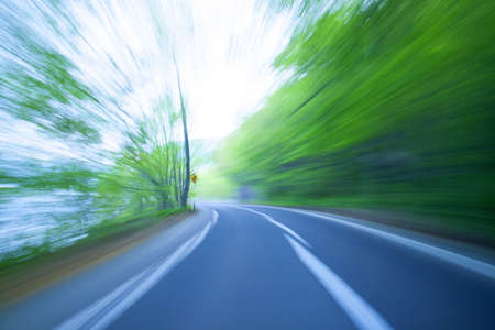 Road in a green forestの写真素材