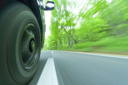 Drive in a green forestの写真素材