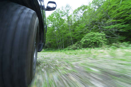 Drive in a green forestの写真素材