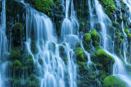 Stream in green forestの写真素材
