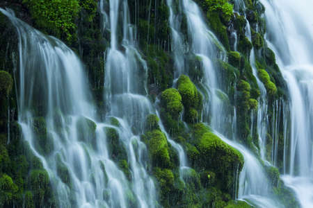Stream in green forestの写真素材