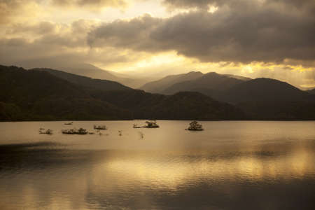 beautiful morning and tree on the Lakeの写真素材