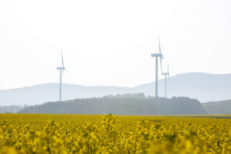 Yellow landscape with turbines and sunの写真素材
