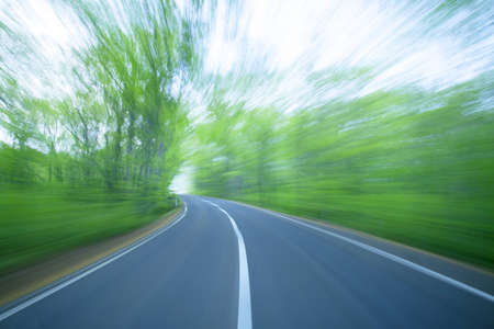 Road in a green forestの写真素材