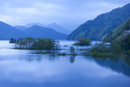 beautiful morning and tree on the Lakeの写真素材
