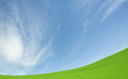 Green grass and skyの写真素材