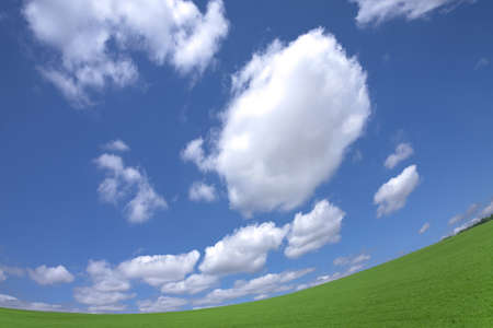Green grass and skyの写真素材