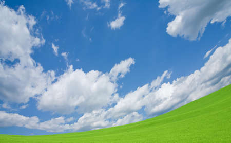 Green grass and skyの写真素材
