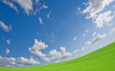 Green grass and skyの写真素材