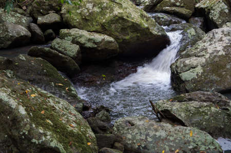 Waterfall and Pond in an Australian subtropical rainforest