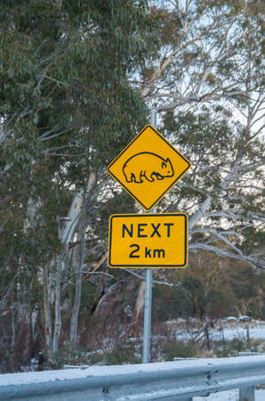Wombat crossing caution sign in the snow after a recent snowfall on the Alpine Wayの写真素材