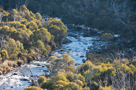 Thredbo River in the late afternoon as seen from the Alpine Way driving towards Thredboの写真素材